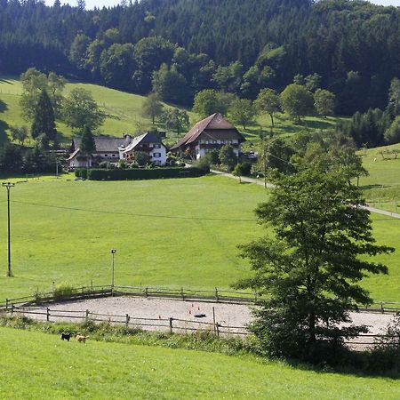 Kempfenhof Seelbach  Exteriér fotografie