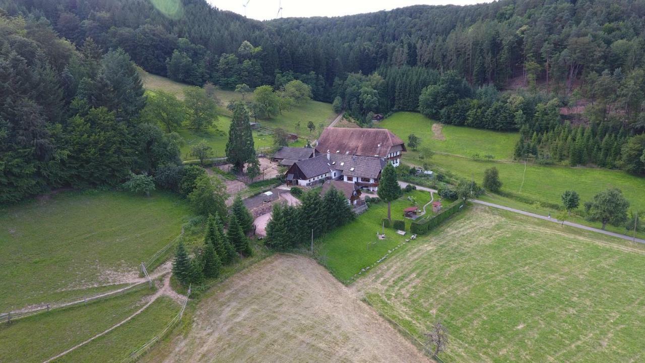 Kempfenhof Seelbach  Exteriér fotografie