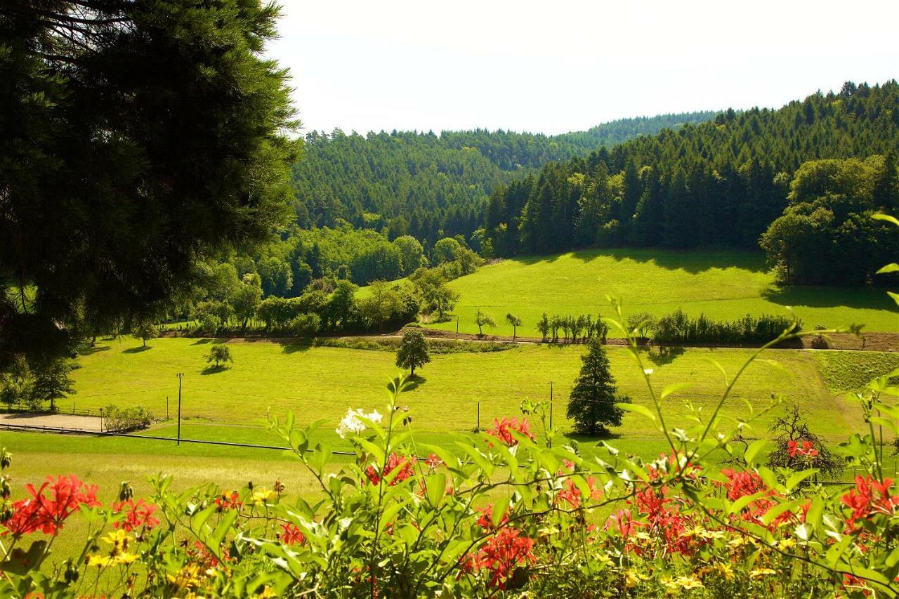 Kempfenhof Seelbach  Exteriér fotografie