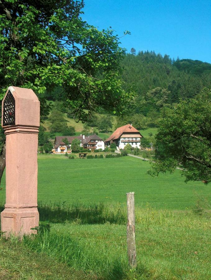Kempfenhof Seelbach  Exteriér fotografie