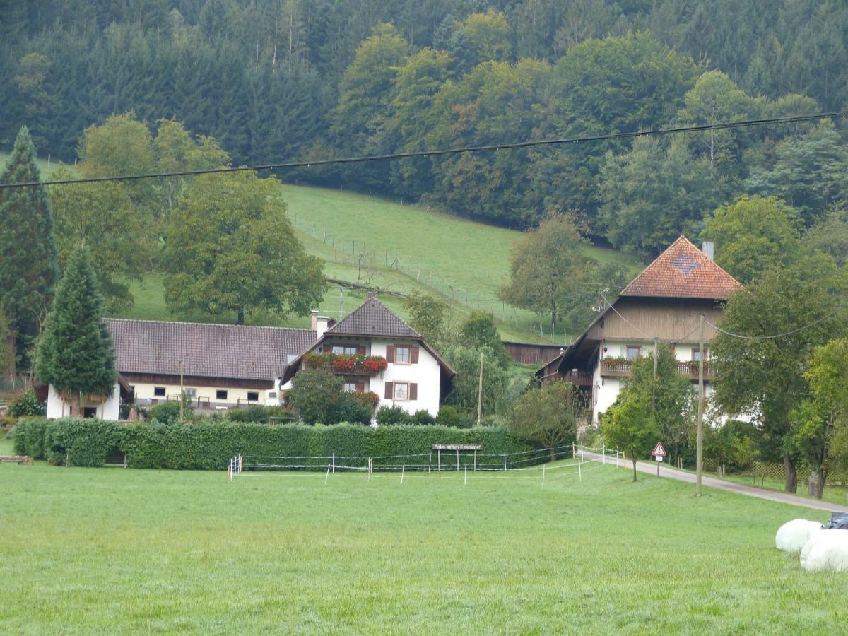 Kempfenhof Seelbach  Exteriér fotografie